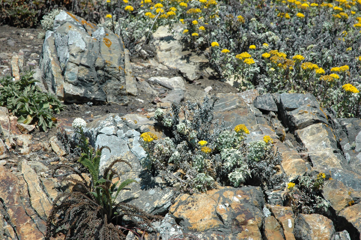 Piedras Blancos Lighthouse 097.jpg